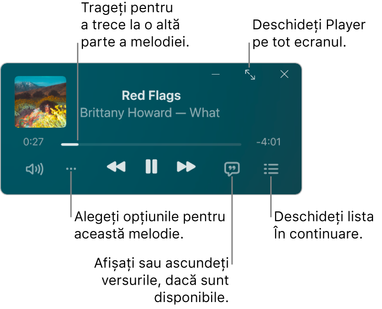 Mini-playerul prezentând comenzile pentru melodia în curs de redare. Partea principală a ferestrei afișează ilustrația albumelor pentru melodie. Sub ilustrație se află un glisor pentru a trece la o altă parte a melodiei și butoane pentru a ajusta volumul, a alege opțiunile, a afișa versurile și a vedea ce se va reda în continuare. În colțul din dreapta sus se află un buton pentru deschiderea playerului pe tot ecranul.