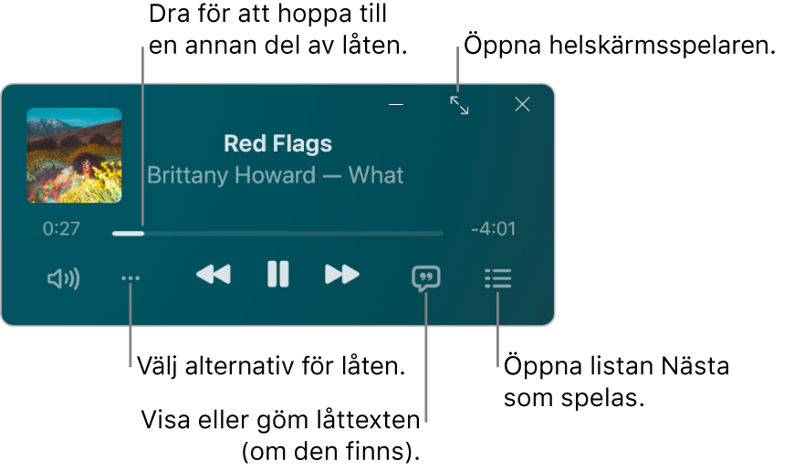 Minispelaren visar reglage för låten som spelas. Huvuddelen av fönstret visar bildmaterialet för låten. Nedanför bildmaterialet finns ett reglage för att flytta till en annan del av låten och knappar för att justera volymen, välja alternativ, visa låttexten och se vad som spelas härnäst. I det övre högra hörnet finns en knapp för att öppna helskärmsspelaren.