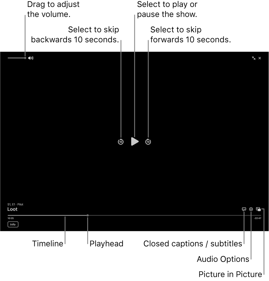 Playback controls in the viewer, including buttons to play or pause, skip forwards or backwards, and adjust volume.