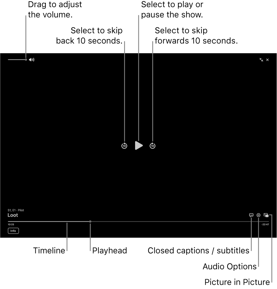 Playback controls in the viewer, including buttons to play or pause, skip forwards or backwards, and adjust volume.