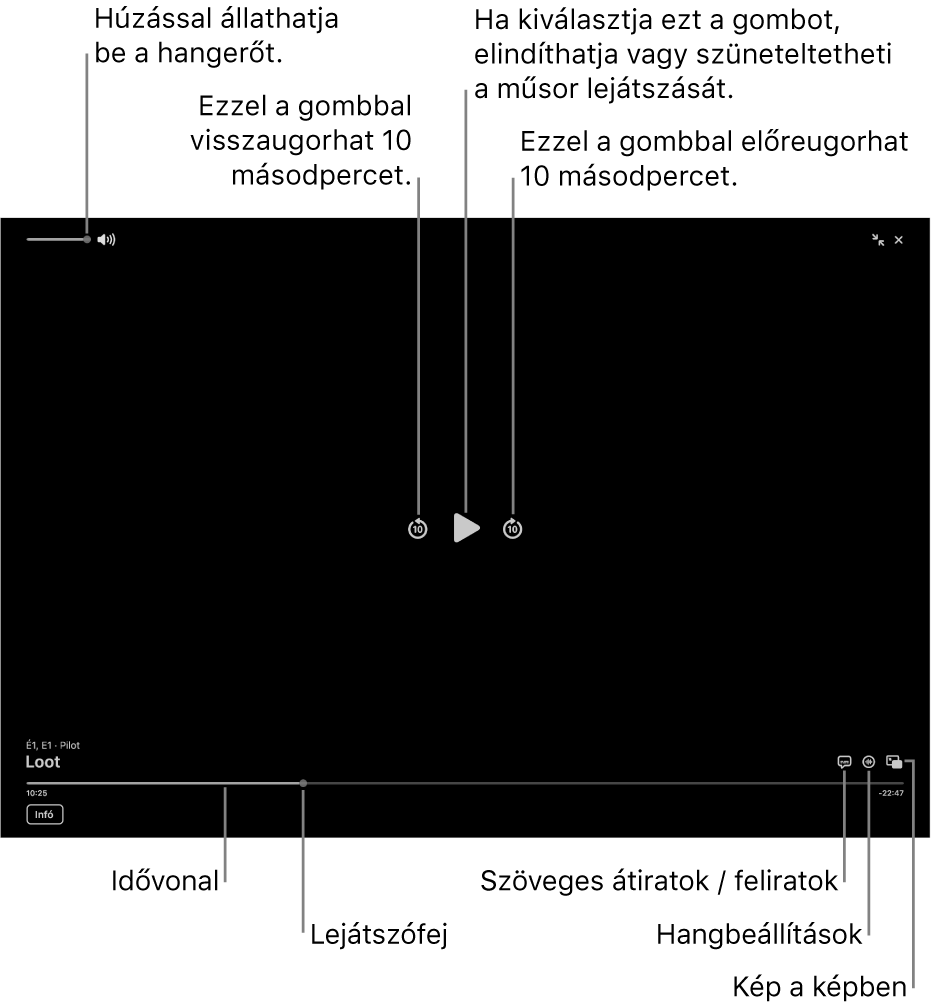 A megtekintőben található lejátszásvezérlők, többek között a lejátszás elindítására és szüneteltetésére, az előre- és hátraugrásra, valamint a hangerő beállítására szolgáló gombokkal.