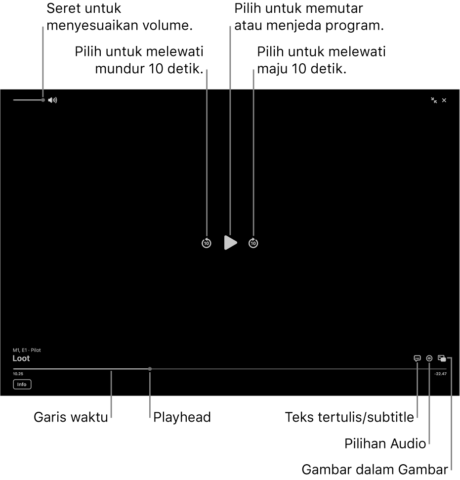 Kontrol pemutaran di penampil, termasuk tombol untuk memutar menjeda, melewati maju atau mundur, dan menyesuaikan volume.