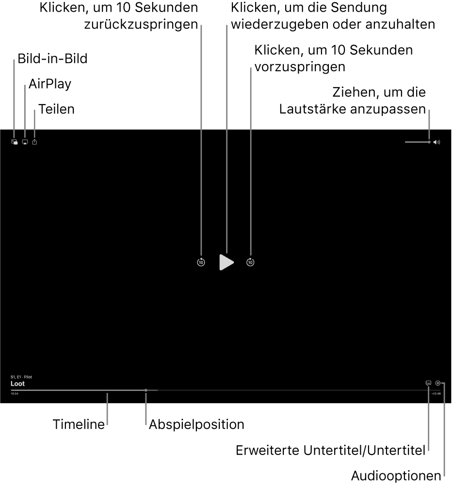 Die Wiedergabesteuerungen im Viewer, einschließlich der Tasten zum Abspielen oder Anhalten, zum Vor- und Zurückspringen und zum Einstellen der Lautstärke.