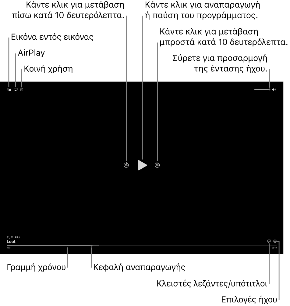 Στοιχεία ελέγχου αναπαραγωγής στο παράθυρο προβολής, με κουμπιά για αναπαραγωγή ή παύση, μετάβαση μπροστά ή πίσω και προσαρμογή της έντασης ήχου.