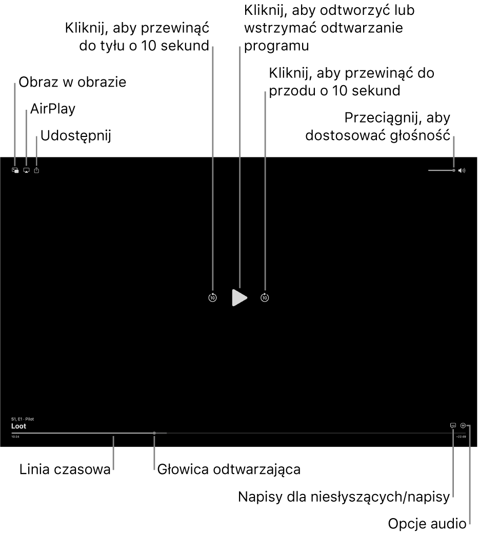 Narzędzia odtwarzania w oknie wyświetlania. Widoczne są przyciski umożliwiające włączanie lub wstrzymywanie odtwarzania, przewijanie do przodu i do tyłu oraz regulowanie głośności.