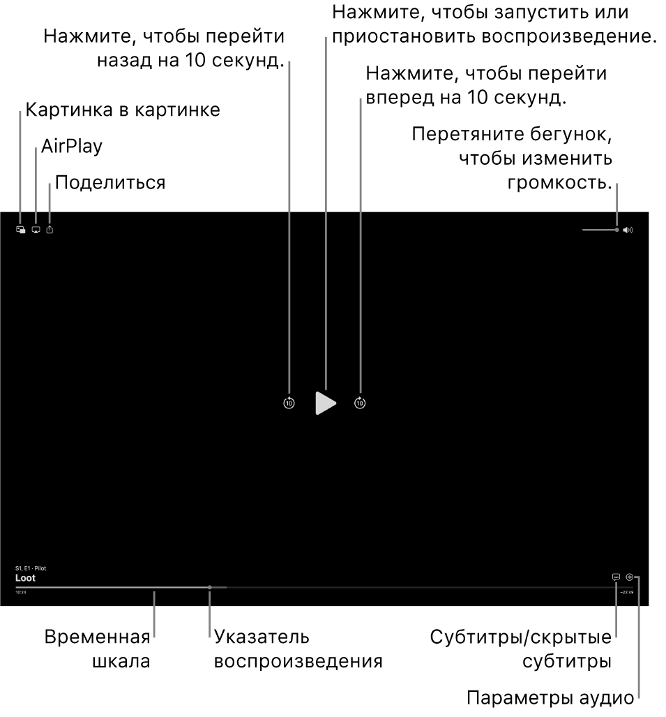 Элементы управления воспроизведением в окне просмотра, в том числе кнопки воспроизведения, паузы, перемотки вперед и назад, а также настройки громкости.