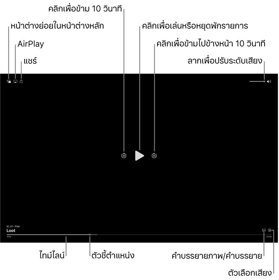 ตัวควบคุมการเล่นในหน้าต่างแสดงซึ่งรวมถึงปุ่มต่างๆ สำหรับเล่นหรือหยุดพัก ข้ามไปข้างหน้าหรือข้ามไปข้างหลัง และปรับระดับเสียง