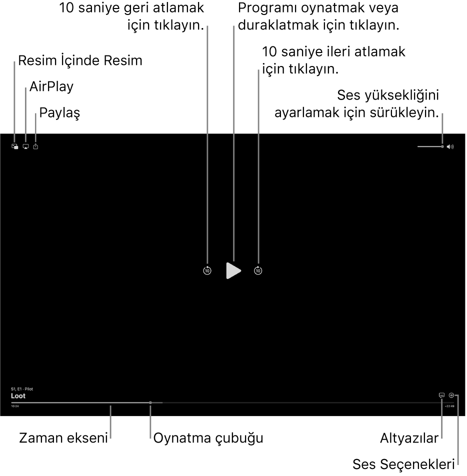 Oynatma veya duraklatma, ileri veya geri atlama ve ses yüksekliğini ayarlama düğmeleri ile birlikte görüntüleyicideki oynatma denetimleri.