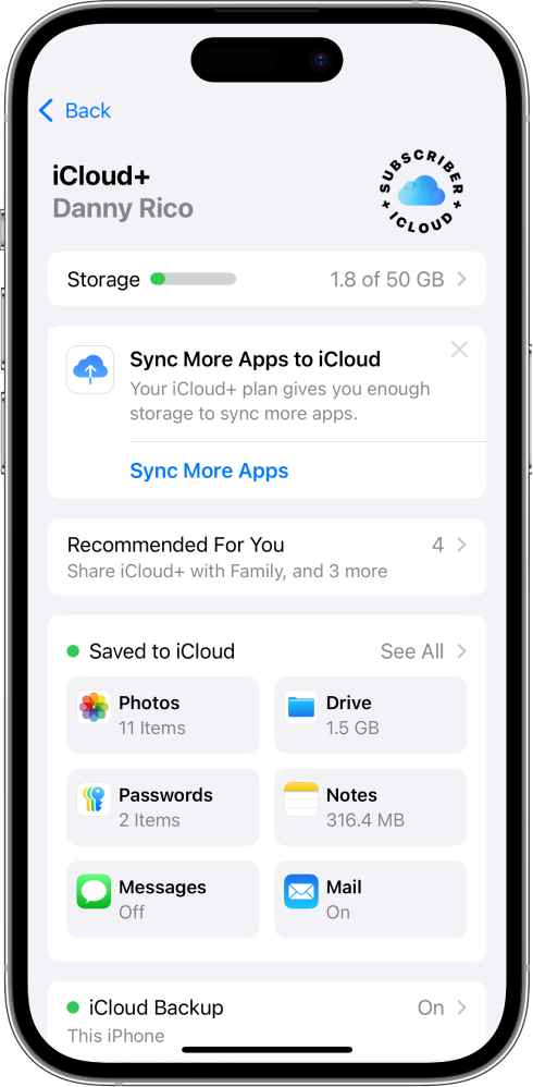 Écran Réglages avec fonctionnalités iCloud activées.