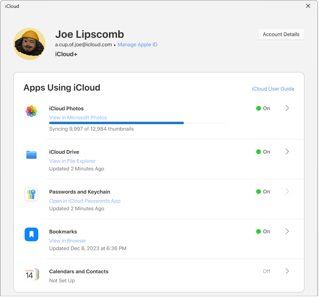 iCloud for Windows showing checkboxes next to iCloud features.