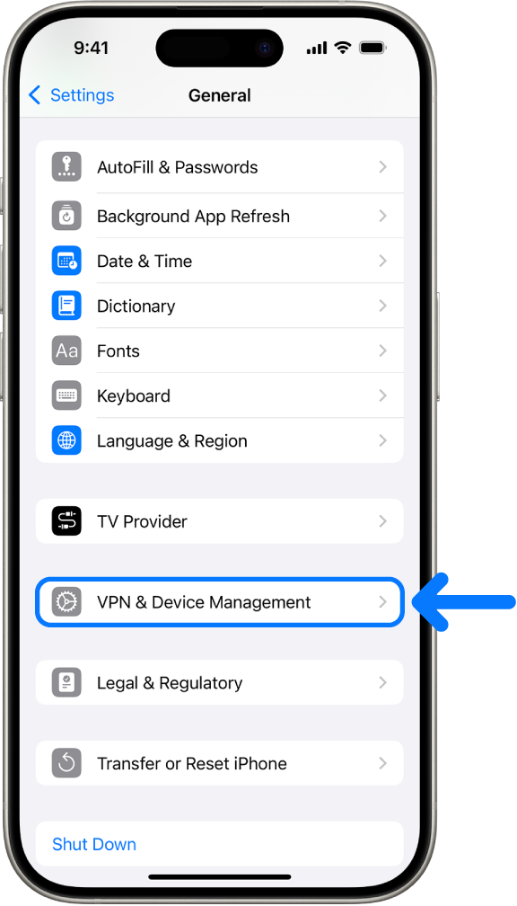 An iPhone screen showing VPN & Device Management selected.