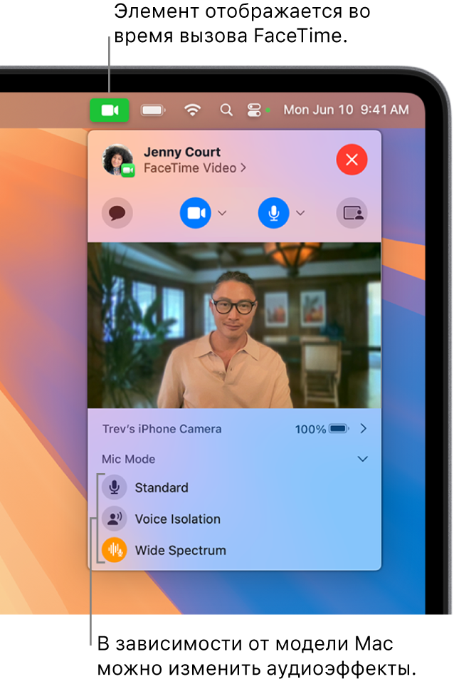 В Пункте управления в правом верхнем углу экрана Mac показана кнопка видео (она видна во время вызова FaceTime с Вашим участием) и параметры режима «Микрофон» (он позволяет изменить некоторые аудиоэффекты в зависимости от модели Mac).