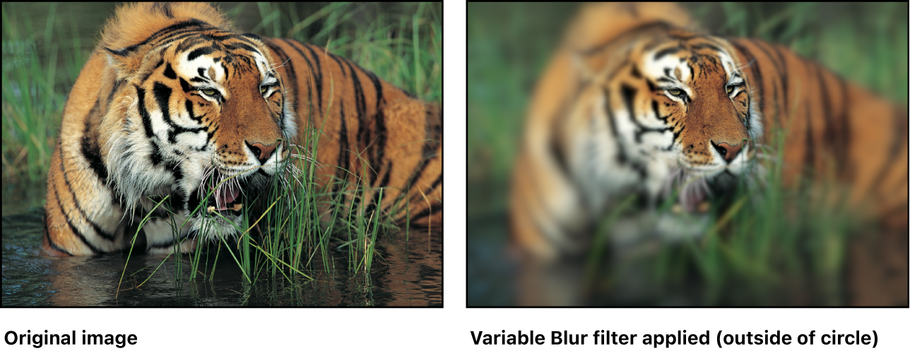 Canvas mit dem Effekt des Filters „Variabel weichzeichnen“