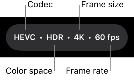 Kameraeinstellungen am oberen Rand des Bildschirms, einschließlich Codec, Farbraum, Bildgröße und Bildrate.