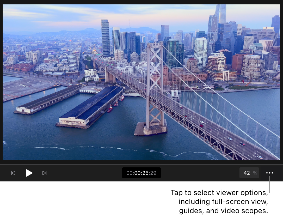 Ein Videobild im Viewer mit Wiedergabesteuerungen, dem Timecode, dem Steuerelement für die Zoomstufe und der Taste „Mehr“ darunter.