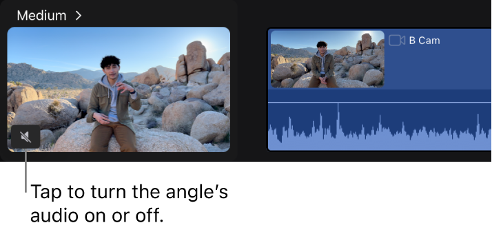 Un icono de audio en la esquina inferior izquierda de una miniatura de ángulo en el editor de ángulo.