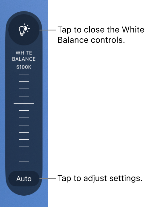 El dial de balance de blancos con el botón Automático al final.
