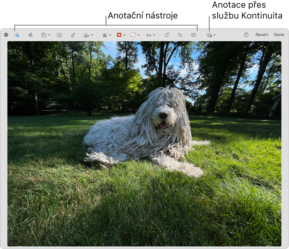 Obrázek v okně Anotace s panelem nástrojů s nástroji pro anotace a nástrojem, na který lze kliknout, chcete-li použít Anotace přes Kontinuitu na iPhonu nebo iPadu v blízkosti.
