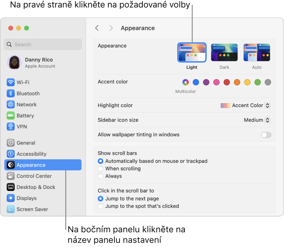 Okno Nastavení systému s nastavením Vzhled vybraným na bočním panelu a volbami Vzhled vpravo