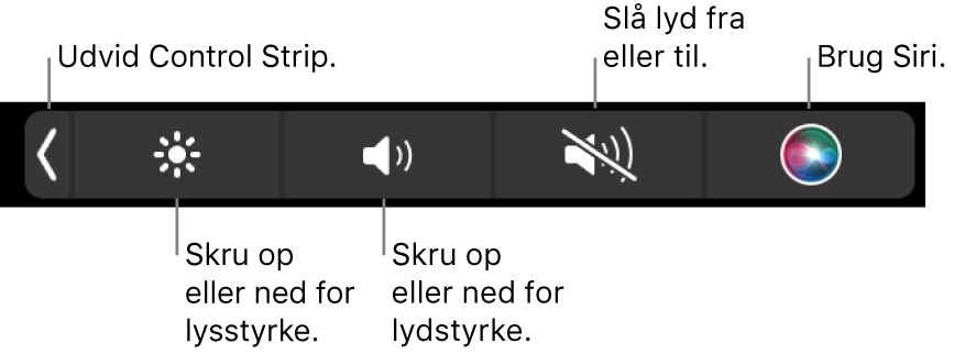 Den formindskede Control Strip har knapper, der fra venstre mod højre udvider Control Strip, skruer op eller ned for skærmens lysstyrke og lydstyrken, slår lyden til eller fra og aktiverer Siri.