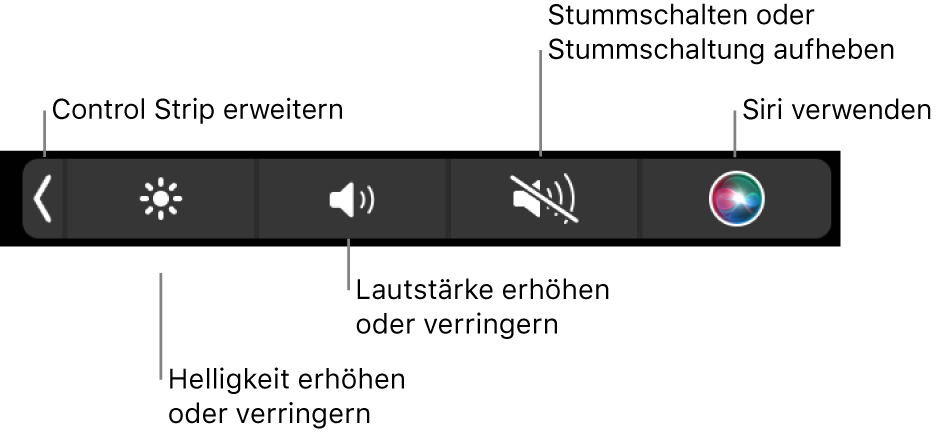 Der reduzierte Control Strip mit Tasten (von links nach rechts) zum Erweitern des Control Strip, Erhöhen oder Reduzieren von Bildschirmhelligkeit und Lautstärke, Aktivieren oder Deaktivieren der Stummschaltung und Verwenden von Siri.