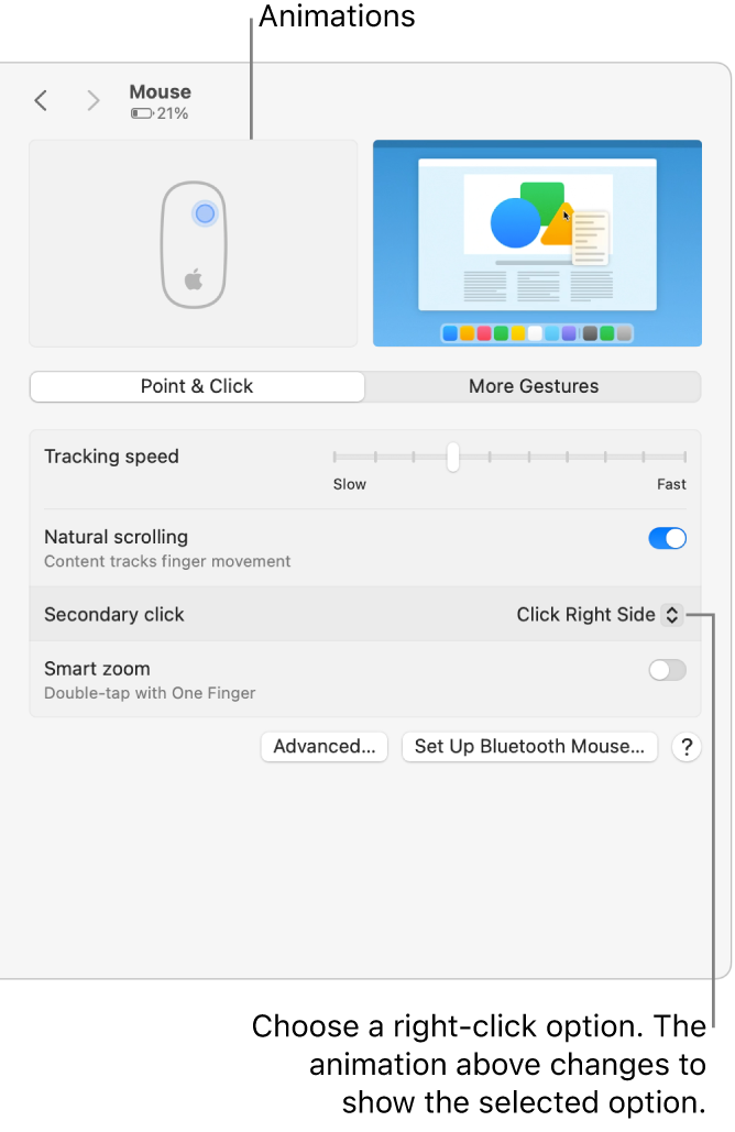 Mouse options in System Settings showing the secondary click option set to Click Right Side and the corresponding animation.