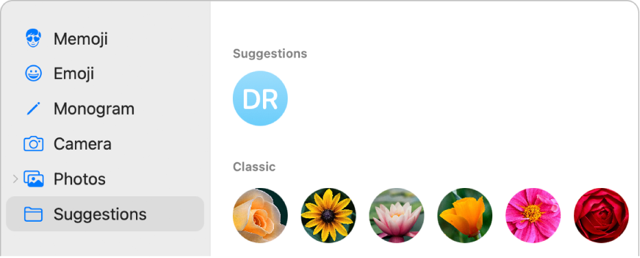 The Apple Account picture options with Suggestions selected in the sidebar and suggested pictures shown.