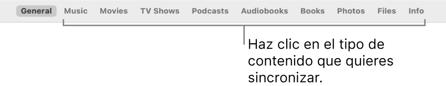 La fila de opciones en la parte superior de la ventana, mostrando los tipos de contenido que puedes sincronizar.