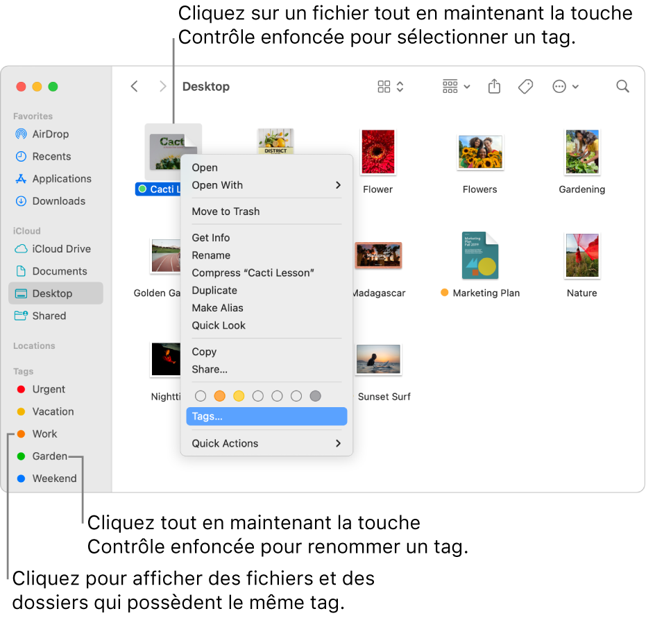 Une fenêtre du Finder contenant des fichiers et dossiers associés à des tags, avec un fichier sélectionné. Différents choix de couleur sont proposés pour les tags dans le menu contextuel, et Tags est surligné.