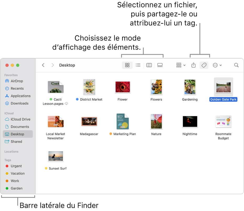 Une fenêtre du Finder avec la barre latérale du Finder sur la gauche. En haut de la fenêtre se trouvent quatre boutons qui modifient la présentation des éléments dans la fenêtre, ainsi que des boutons supplémentaires pour les organiser et les partager.