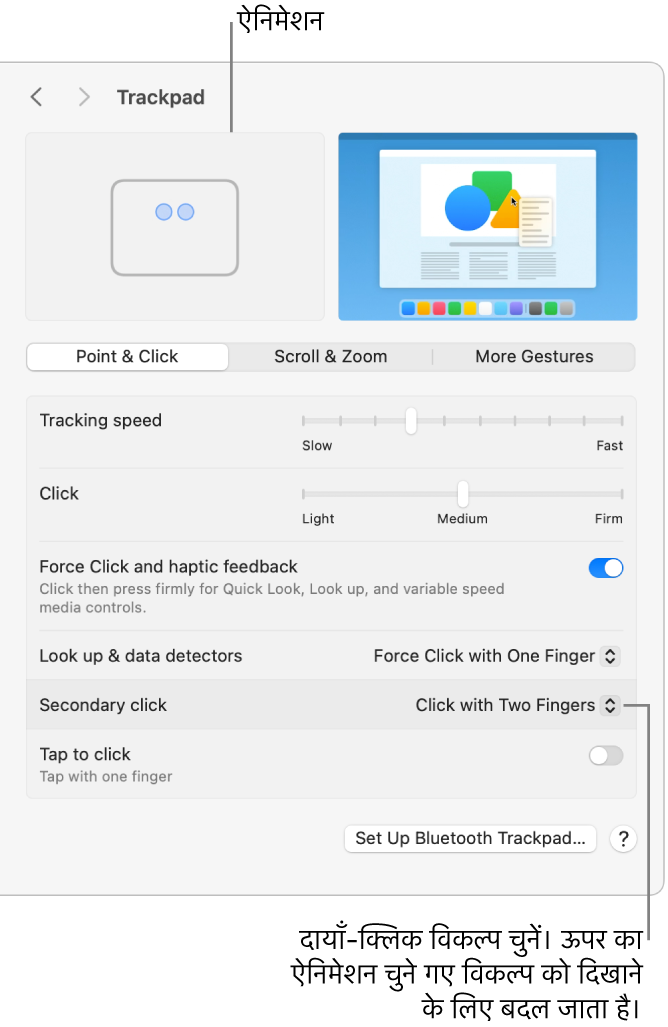 सिस्टम सेटिंग्ज़ में ट्रैकपैड विकल्प सेकेंडरी क्लिक विकल्प प्रदर्शित करता है जो टू फ़िंगर क्लिक करने पर और समकक्ष ऐनिमेशन पर सेट हैं।