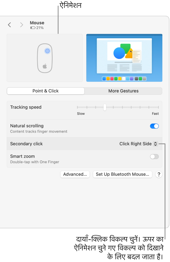 सिस्टम सेटिंग्ज़ में माउस विकल्प सेकेंडरी क्लिक विकल्प प्रदर्शित करता है जो दाईं तरफ़ क्लिक करने पर और समकक्ष ऐनिमेशन पर सेट हैं।