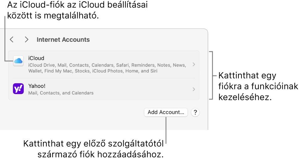 Az Internetes fiókok beállítások a Macen beállított fiókok listájával.