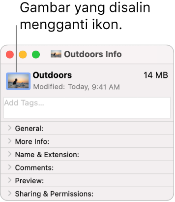 Jendela Info untuk folder, menampilkan ikon generik yang diganti dengan gambar.