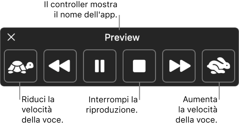 Il controller sullo schermo che può essere mostrato quando il Mac legge ad alta voce il testo selezionato. Il controller è dotato di sei pulsanti che, da sinistra a destra, ti consentono di diminuire la riproduzione vocale, tornare indietro di una frase, riprodurre o mettere in pausa il parlato, interrompere il parlato, andare avanti di una frase e aumentare la riproduzione vocale. Il nome dell’app viene mostrato in alto sul controller.