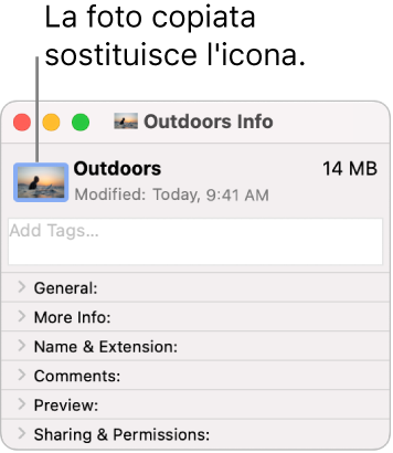 Finestra Informazioni per una cartella, che mostra l’icona generica sostituita da un’immagine.