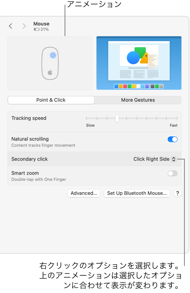 「システム設定」の「マウス」オプション。副ボタンのクリックオプションが「右側をクリック」に設定され、対応するアニメーションが表示されています。