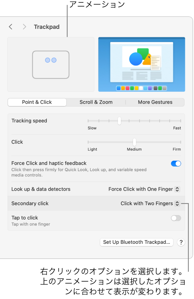 「システム設定」の「トラックパッド」オプション。副ボタンのクリックオプションが「2本指でクリック」に設定され、対応するアニメーションが表示されています。