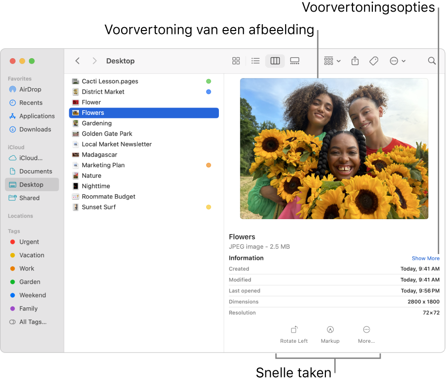 Een Finder-venster met links de Finder-navigatiekolom en in het midden van het venster een geselecteerd afbeeldingsbestand. Rechts zie je in het voorvertoningspaneel hoe de afbeelding eruit ziet, daaronder de informatie over de afbeelding en helemaal onderaan de knoppen voor snelle taken.