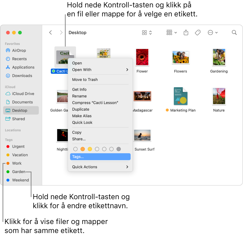 Et Finder-vindu med filer og mapper med etiketter, og én fil er markert. I snarveismenyen er det tre fargevalg for etiketter, og Etiketter er markert.