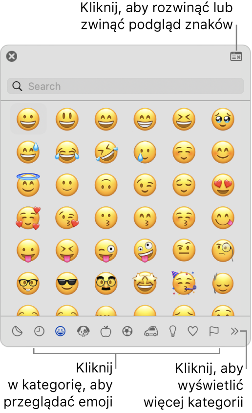 Okno podglądu znaków. Kliknij w kategorię na dole, aby przeglądać należące do niej znaki lub symbole. Wpisz nazwę lub kod symbolu w polu wyszukiwania, aby znaleźć określony znak. Kliknij w prawym górnym rogu okna, aby rozwinąć lub zwinąć podgląd.