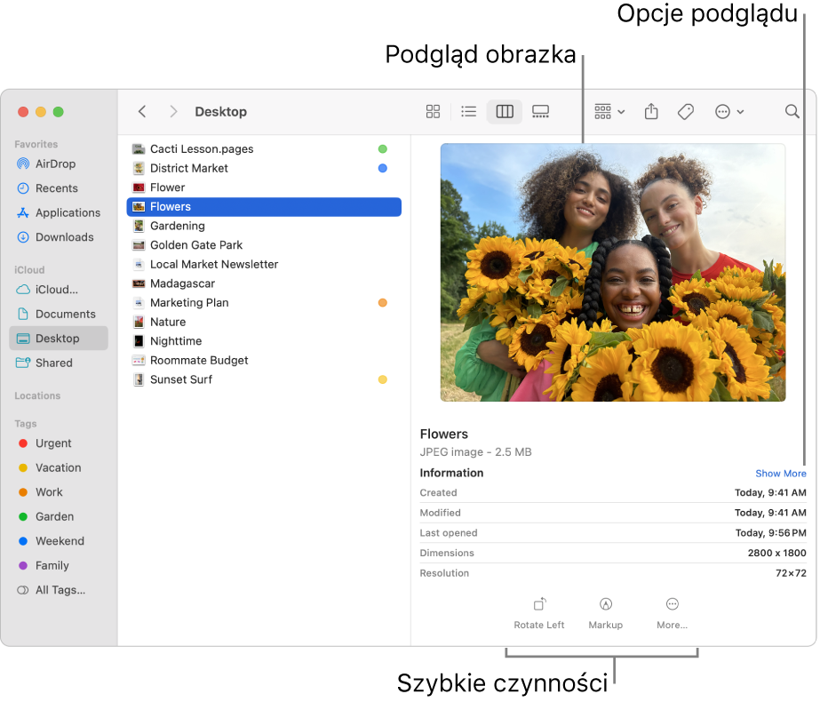 Okno Findera zawierające pasek boczny po lewej oraz plik obrazka zaznaczony na środku. Po prawej stronie widoczny jest panel podglądu, w którym widoczny jest podgląd obrazka, niżej znajdują się szczegółowe informacje, a na dole panelu widoczne są przyciski szybkich czynności.