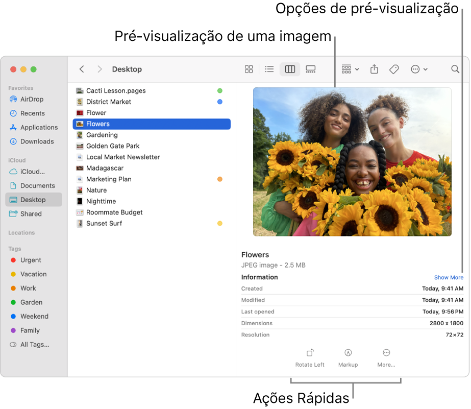 Janela do Finder mostrando a barra lateral do Finder à esquerda e um arquivo de imagem selecionado no meio da janela. À direita, o painel de Pré-visualização mostra a imagem, com detalhes da imagem abaixo e os botões de Ações Rápidas na parte inferior.
