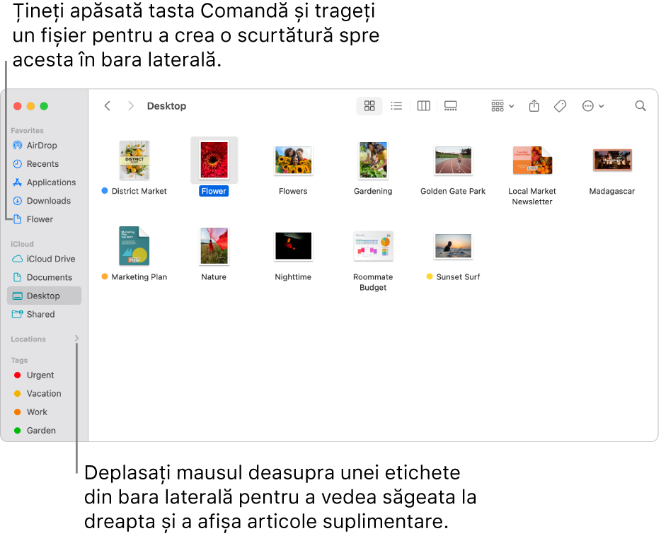 La dreapta opțiunii Amplasamente în bara laterală Finder se află o săgeată pe care puteți face clic pentru a afișa articole suplimentare. În partea dreaptă a ferestrei Finder este selectat un fișier și o scurtătură spre fișier se află în bara laterală, sub Favorite.