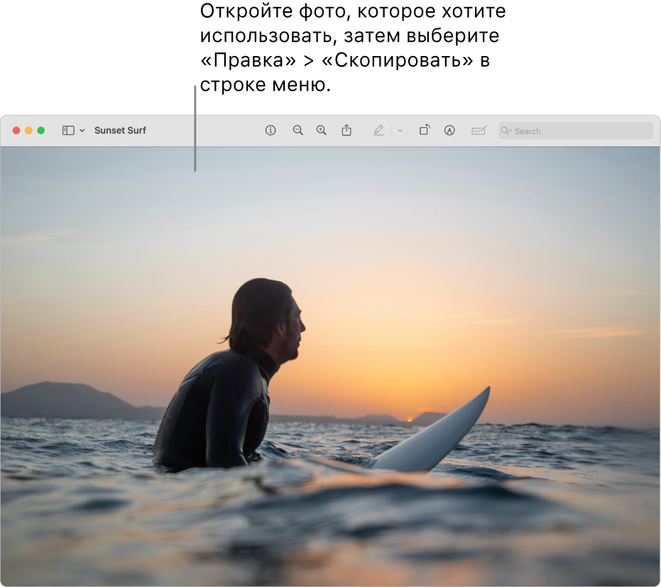 В приложении «Просмотр» показано изображение для копирования.