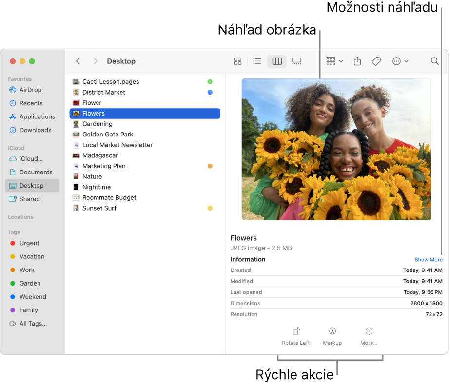 Okno Findera zobrazujúce postranný panel Findera na ľavej strane a označený súbor obrázka v strede okna. Na pravej strane panel Náhľad zobrazuje ako vyzerá daný obrázok, pod tým sa nachádzajú detaily obrázka a tlačidlá Rýchle akcie sú v spodnej časti.