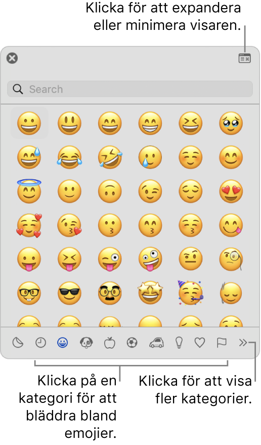 Teckenvisarfönstret. Klicka på en kategori längst ned för att bläddra bland tecken eller symboler. Ange ett symbolnamn eller en kod i sökfältet för att hitta ett särskilt tecken. Klicka i det övre högra hörnet för att expandera eller fälla ihop fönstret.