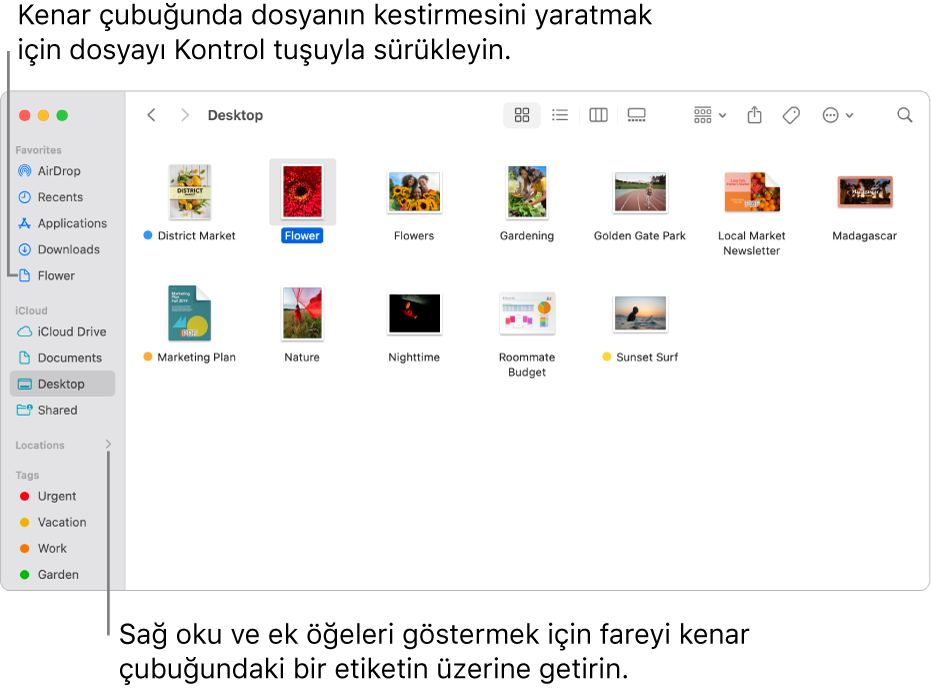 Finder kenar çubuğundaki Konumlar’ın sağ tarafında ek öğeleri göstermek için tıklayabileceğiniz bir ok var. Sağdaki Finder penceresinde bir dosya seçili ve kenar çubuğundaki Favoriler’in alt tarafında dosyanın bir kestirmesi var.