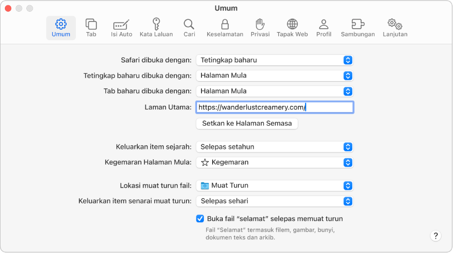 Medan Carian Pintar Safari, tempat anda boleh memasukkan nama tapak web atau URL.