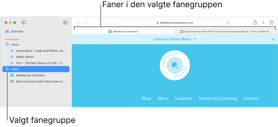 Et Safari-vindu som viser sidepanelet med en fanegruppe markert.